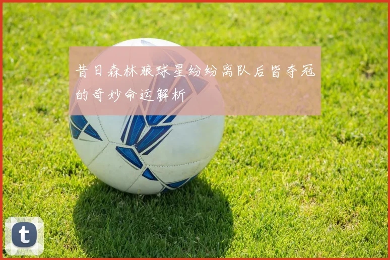 昔日森林狼球星纷纷离队后皆夺冠的奇妙命运解析