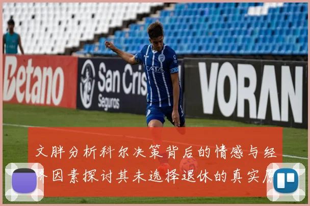 文胖分析科尔决策背后的情感与经济因素探讨其未选择退休的真实原因